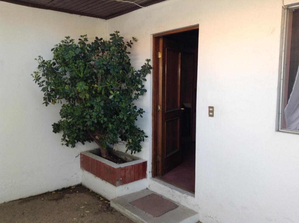 Hotel Alicante Chillán Eksteriør bilde